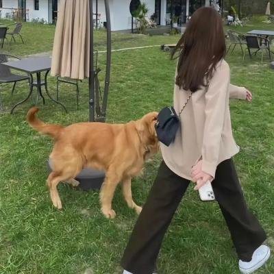 英国之声 在线观看