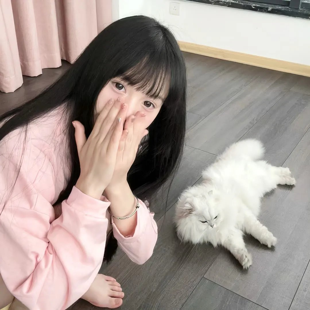 爱斯基摩飞人 在线观看